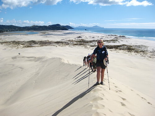 The Estuary Walk